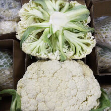 白菜花价格报价行情 京东