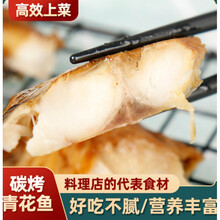 碳烤青花鱼新款 碳烤青花鱼21年新款 京东