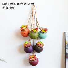 多肉植物花盆吊盆价格报价行情 京东