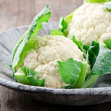 白菜花品牌及商品 京东