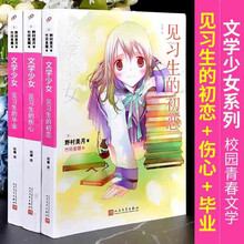 文学少女全套价格报价行情 京东