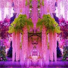 紫藤树苗价格报价行情 京东