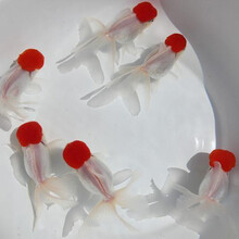 Lo2ydgc6vhe0zm Lo2ydgc6vhe0zm