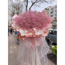 4月10日生日花新款 4月10日生日花21年新款 京东