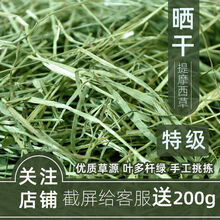 吃小麦草价格报价行情 京东