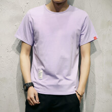 其他品牌 短袖 男士T恤 浅紫色 