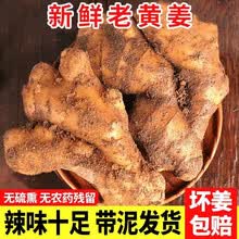自种老姜价格报价行情 京东