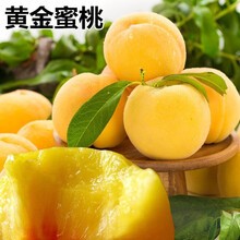 桃苗桃树苗价格报价行情 京东