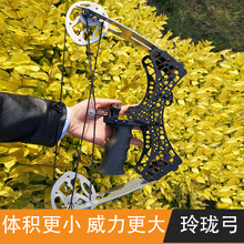 迷你复合弓价格报价行情 京东