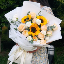 向日宅物11月11天 京东