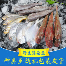 鲳鱼品种型号规格 京东