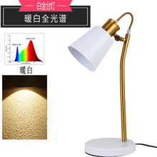 植物台灯价格报价行情 京东