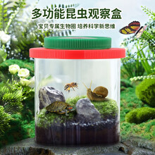 昆虫盒放大镜价格报价行情 京东
