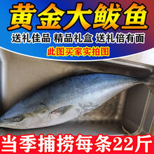 鰤鱼价格报价行情 京东