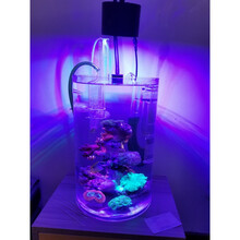 Diy海水缸led灯价格报价行情 京东