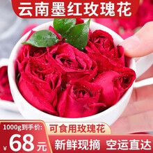 鲜玫瑰花瓣价格报价行情 京东