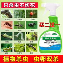 室内植物除虫新款 室内植物除虫21年新款 京东 室内植物除虫新款 室内植物除虫21年新款 京东