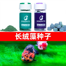 金鱼水槽价格报价行情 京东