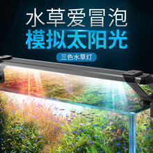 水草专灯排行 京东 水草专灯排行 京东