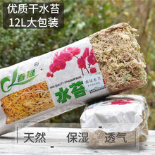 水苔养兰花品牌及商品 京东