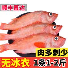 海鱼红鱼新款 海鱼红鱼21年新款 京东