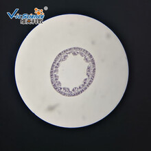 玻片 高等教育使用教学切片 动物玻片标本 显微镜使用切片 水螅横切