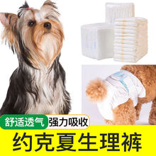 狗狗礼貌带新款 狗狗礼貌带21年新款 京东