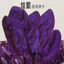 炫紫花青素新款 炫紫花青素21年新款 京东