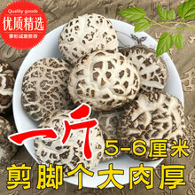 茶花香菇价格报价行情 京东