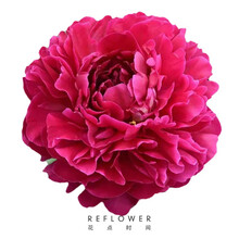 5月25日生日花新款 5月25日生日花21年新款 京东