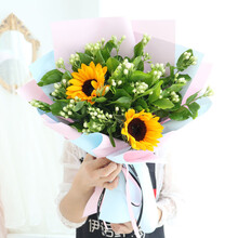 茉莉花束图片 京东