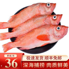 深海石斑鱼价格报价行情 京东