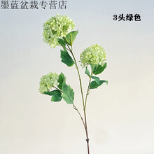 绿色绣球花新款 绿色绣球花21年新款 京东