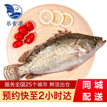 鲜活桂鱼价格报价行情 京东 鲜活桂鱼价格报价行情 京东