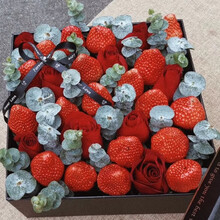 一朵葡萄价格报价行情 京东