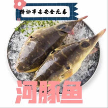 河豚价钱新款 河豚价钱21年新款 京东