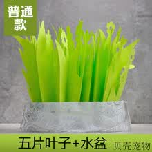 爬虫箱加湿器新款 爬虫箱加湿器21年新款 京东 爬虫箱加湿器新款 爬虫箱加湿器21年新款 京东