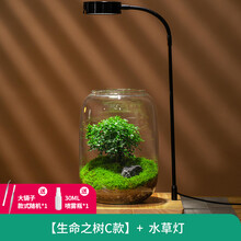 苔藓微景观生态瓶价格报价行情 京东