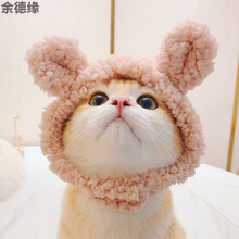 虎头帽泰迪犬价格报价行情 京东