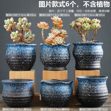 个性盆栽花盆新款 个性盆栽花盆21年新款 京东