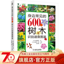 金田公园新款 金田公园21年新款 京东