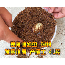 独角仙土新款 独角仙土21年新款 京东