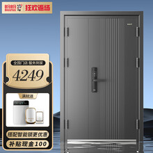 智能安全门价格