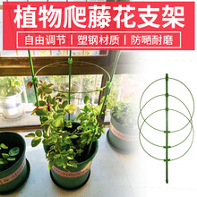 爬藤支柱品牌及商品 京东