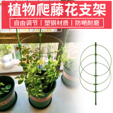 植物固定爬藤架图片 京东