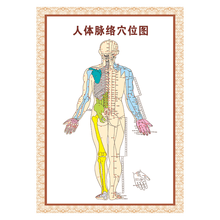 人体挂图排行 京东