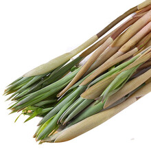 大菜园 顺丰 东北笔管菜 1kg 山菜笔杆菜甜菜甜口菜山野菜 新鲜蔬菜