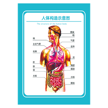 人体挂图排行 京东