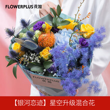 花加 Flowerplus 新款 花加 Flowerplus 21年新款 京东