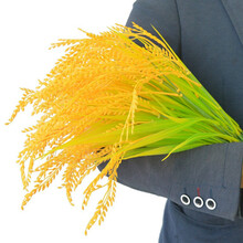 舞台花束价格报价行情 京东